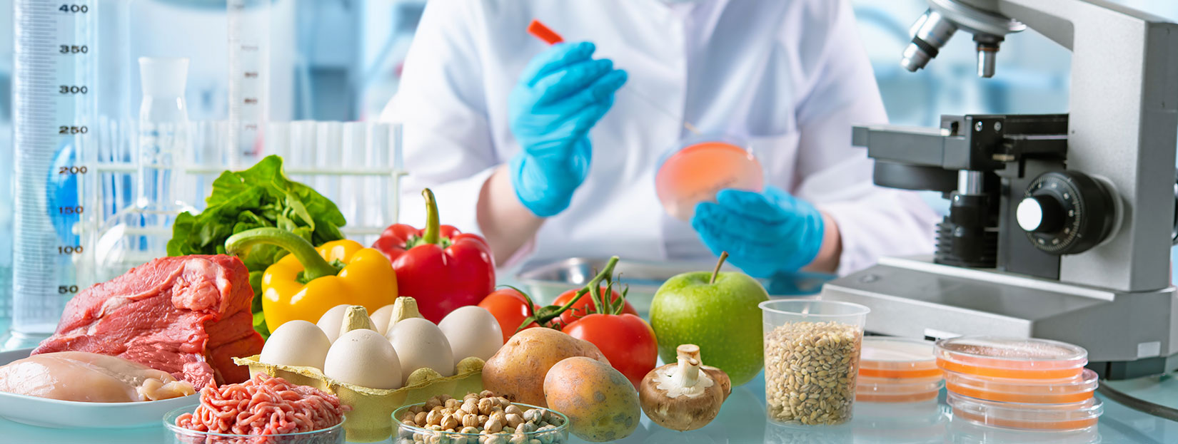 world-food-safety-day-2023